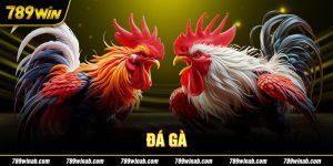 đá gà 789win