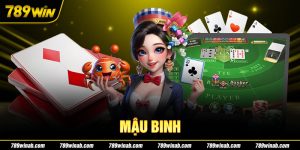 Mậu Binh Là Gì? Hiểu Rõ Về Thuật Ngữ Và Cách Chơi