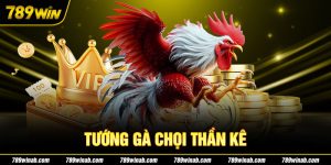 tướng gà chọi thần kê 789win