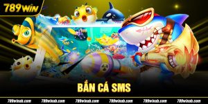Giải thích cách chơi game bắn cá nạp SMS ăn tiền dễ hiểu