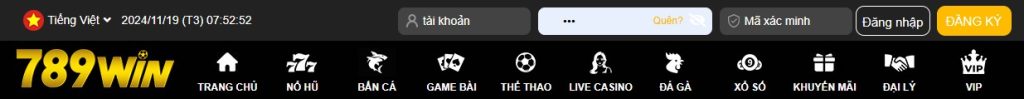 Các thông tin bắt buộc điền khi đăng nhập 789win