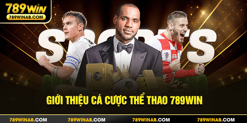 Giới thiệu 789WIN bộ môn cá cược thể thao hấp dẫn